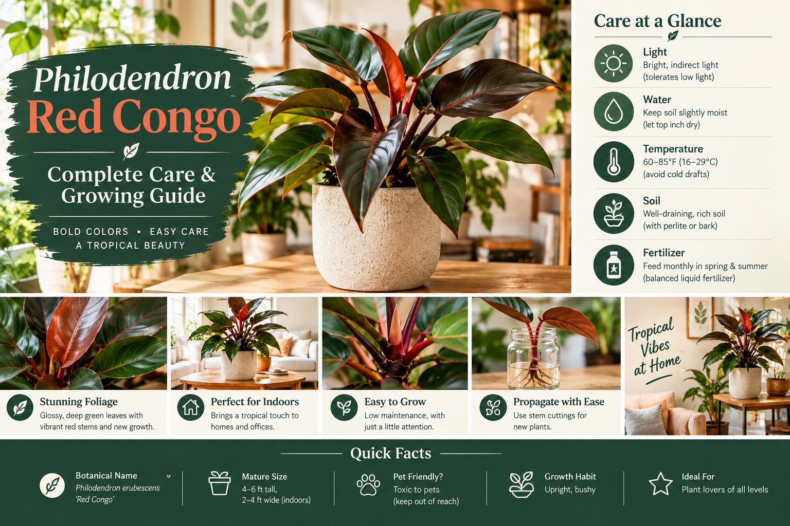 Philodendron Red Congo: Complete Care & Growing Guide